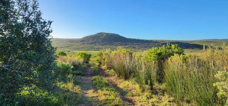 0 Bedroom Property for Sale in Albertinia Western Cape